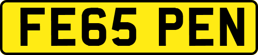 FE65PEN