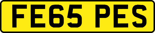 FE65PES