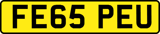 FE65PEU