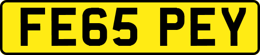 FE65PEY