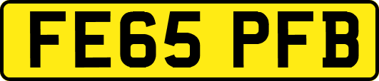 FE65PFB