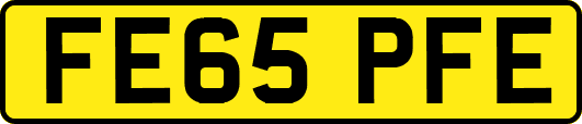FE65PFE
