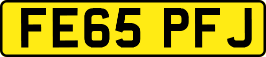 FE65PFJ