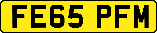 FE65PFM