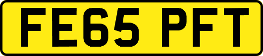 FE65PFT