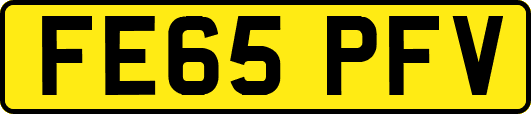 FE65PFV