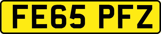 FE65PFZ