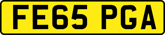 FE65PGA