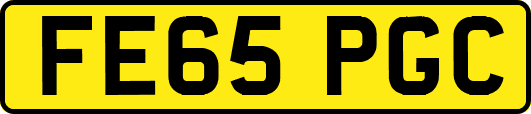 FE65PGC