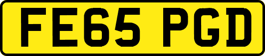 FE65PGD