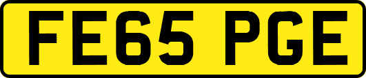 FE65PGE