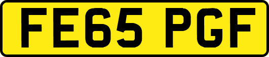 FE65PGF