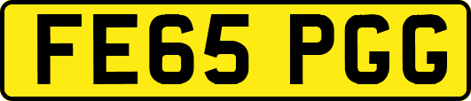 FE65PGG