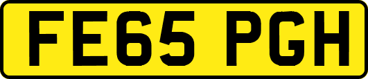 FE65PGH