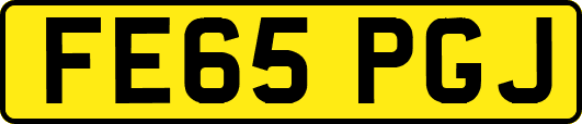 FE65PGJ