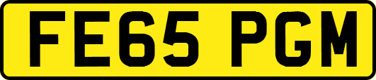 FE65PGM