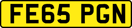 FE65PGN