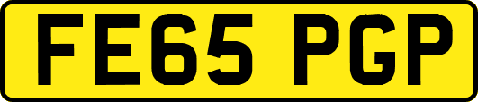FE65PGP