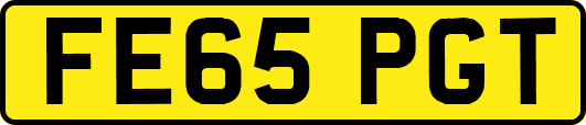 FE65PGT