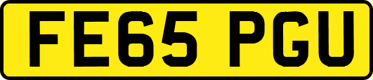 FE65PGU