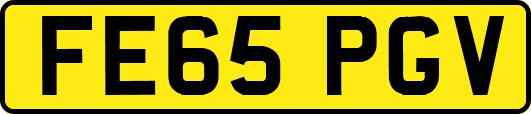 FE65PGV