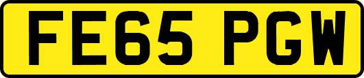 FE65PGW