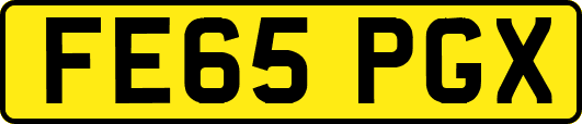 FE65PGX