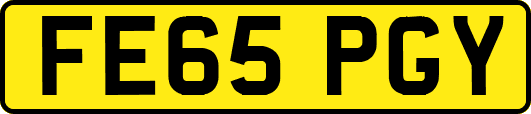 FE65PGY