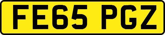FE65PGZ