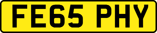 FE65PHY