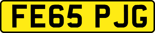 FE65PJG
