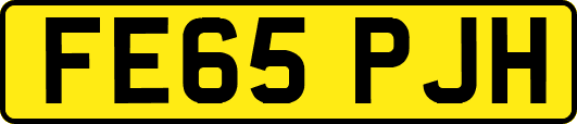 FE65PJH