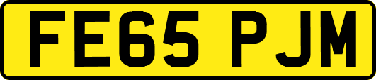 FE65PJM