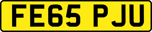 FE65PJU