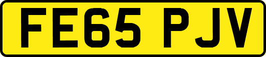 FE65PJV