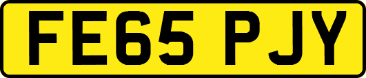 FE65PJY