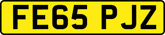 FE65PJZ