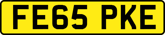 FE65PKE