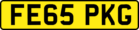 FE65PKG