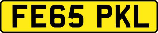 FE65PKL