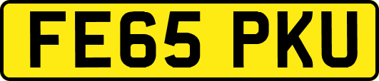 FE65PKU