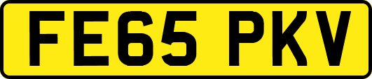 FE65PKV