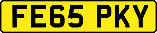 FE65PKY