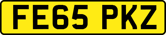 FE65PKZ