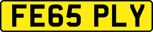 FE65PLY