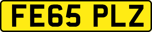FE65PLZ