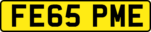 FE65PME