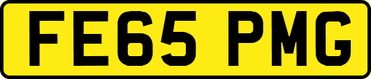 FE65PMG