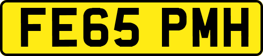 FE65PMH