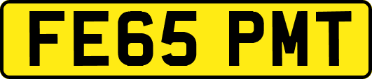 FE65PMT